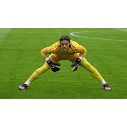 Inter hatte in den letzten Jahren viel Glück bei der Spielerrekrutierung